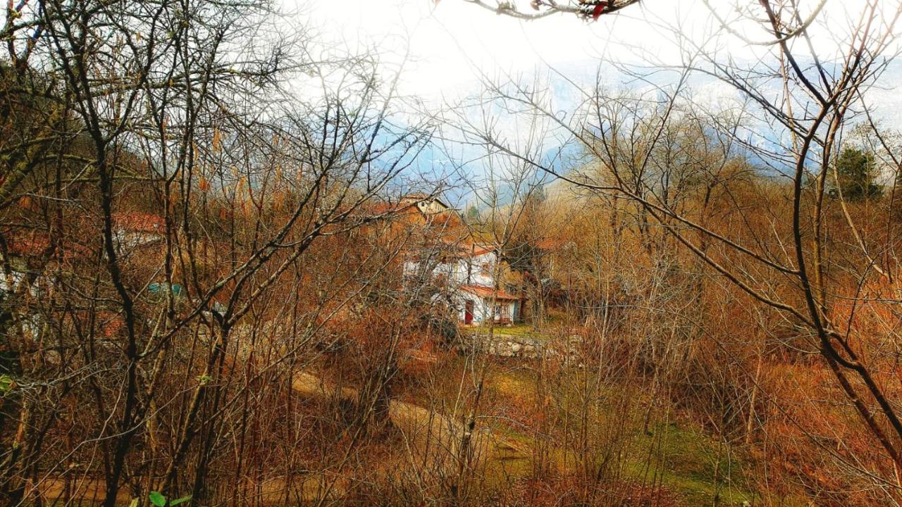 ארנאס דה קבראלס Hotel Rural La Tahona De Besnes מראה חיצוני תמונה